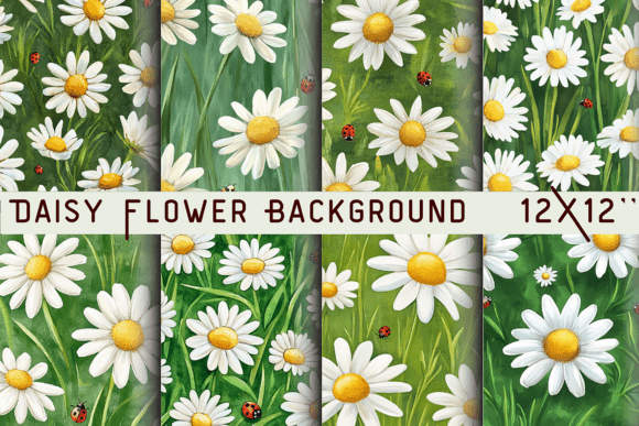 Download Daisy Flower Background Wallpaper Art - Flower background Collection